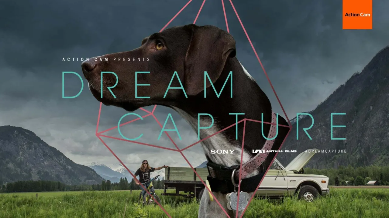 Casey Brown, a truck, and Poppy the Dog's head - a mashup up poster for Casey's Cream Capture film: Tail Gunner.