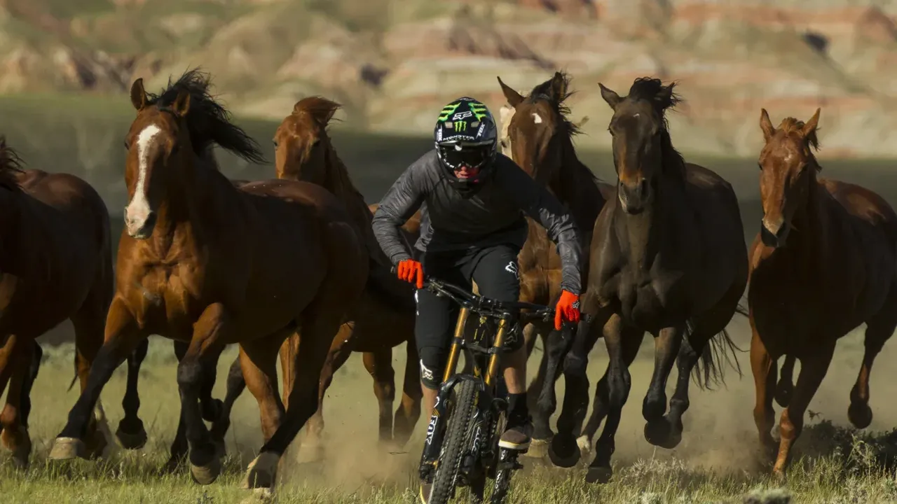 Brett Rheeder rides away from a pack of wild horses in Wyoming