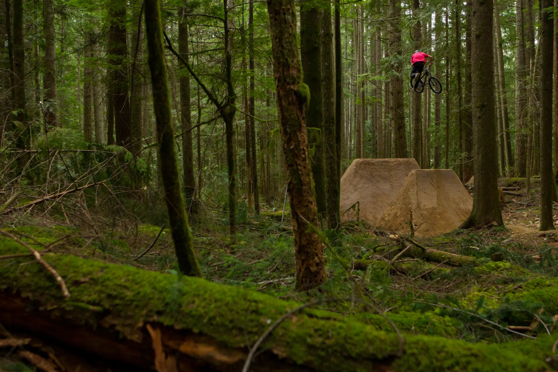 MTB Dirts Jumps in a green forest from MTb film Arrival