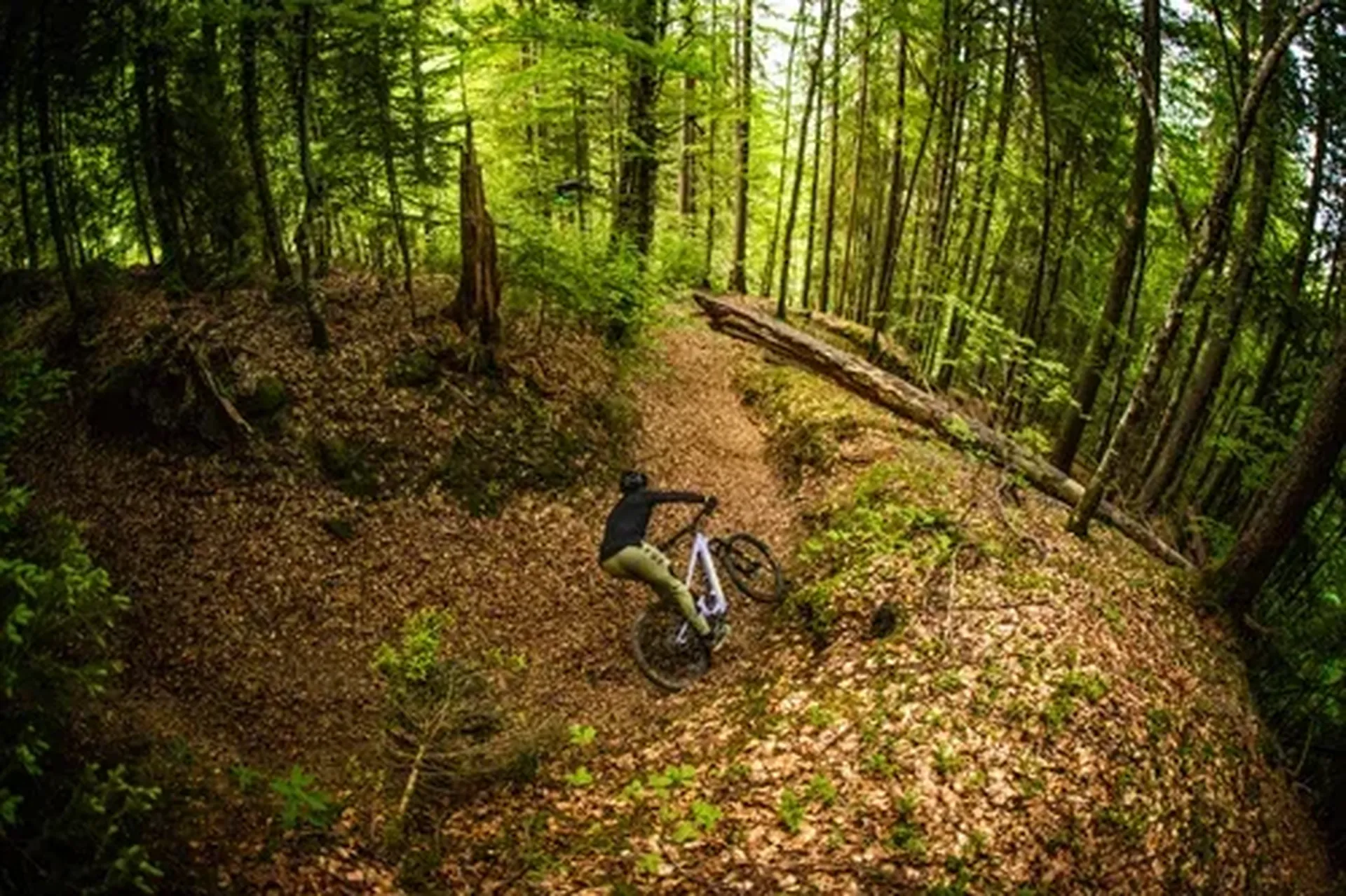 Bike rider Greg Minnaar rides a fall trail