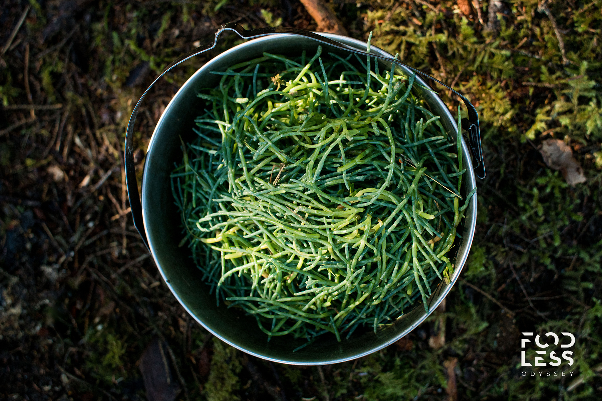 FOODLESS_ODYSSEY_Gallery_00005.jpg