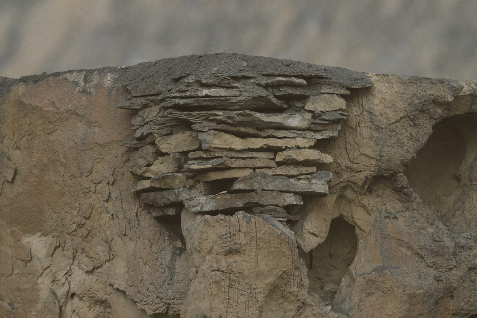 SLorencePhoto_RTE_Utah_3461.JPG